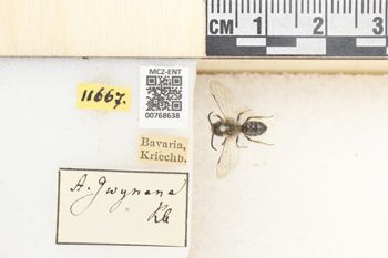 Media type: image;   Entomology 768638 Aspect: Labels